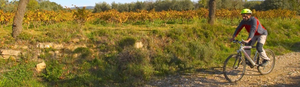 Viñas de Guara Route